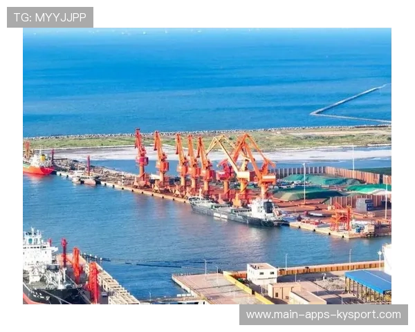 海港深度不足库明加顶上：揭秘背后的商机与挑战